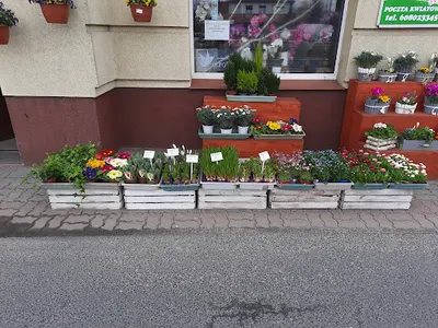 Kwiaciarnia "Zielony Zakątek"